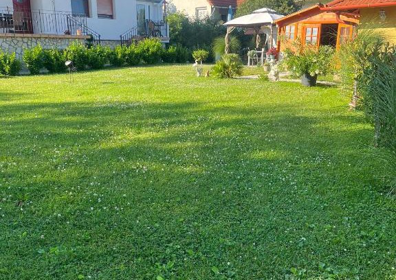 Alsóörs Apartamento | Rege apartman