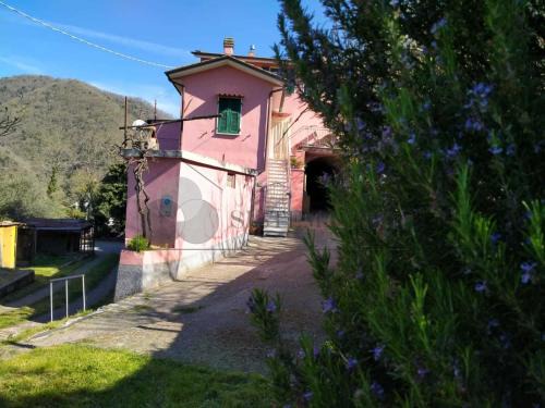 Isola Casa | Regina Margherita affittacamere