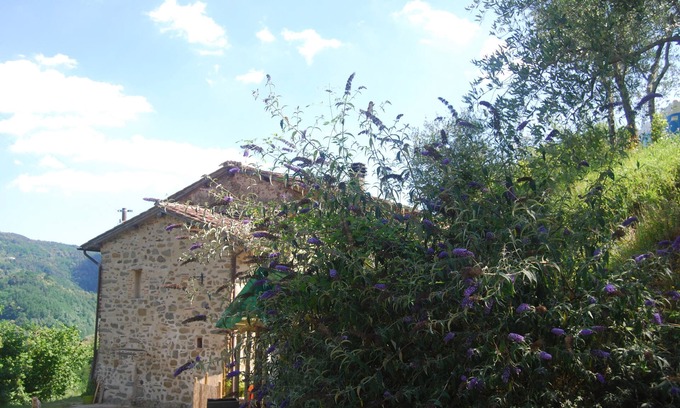 Pescia Apartamento | Relax al Poggio