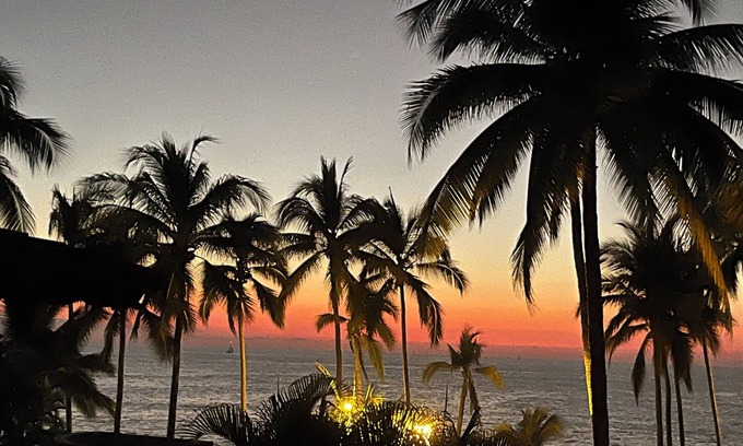 Díaz Ordaz Condominio | Oceanfront 1-bedroom condo amidst the palms at Los Tules in Puerto Vallarta