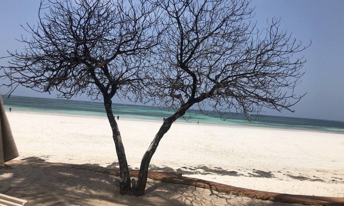 Galu Beach Apartamento | Relájese y rejuvenezca en la costa sur de Kenia: la propiedad frente a la playa tiene capacidad para 6,