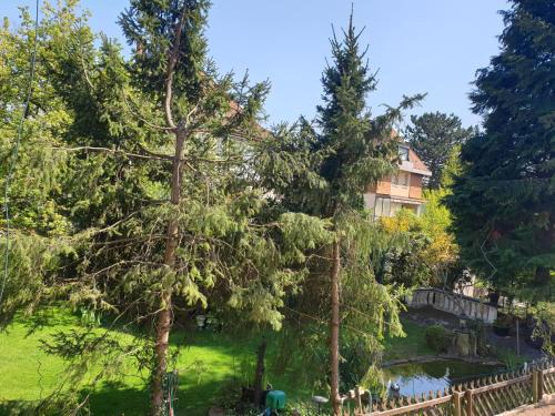 Kehl Apartamento | Relax City Apartments