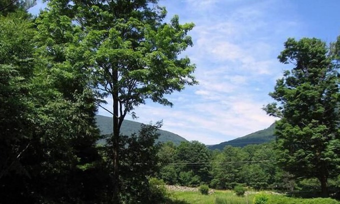 West Saugerties Casa | Relájese en este tranquilo y moderno 3BR Catskills Rambler con vistas a la montaña