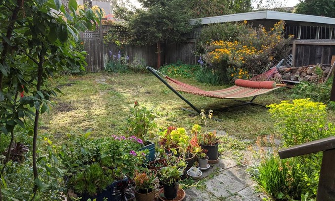 Albany Casa | Relax in unpretentious peaceful and authentic house with public transportation cafes and U of Berkeley close by