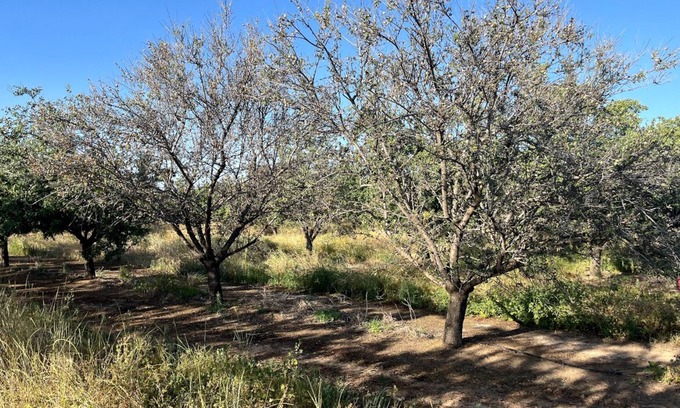 Merced County Casa | Relax on 475 acre scenic ranch, 4-Bed/BR, Surrounded by Nature, 1.5hr -Yosemite.