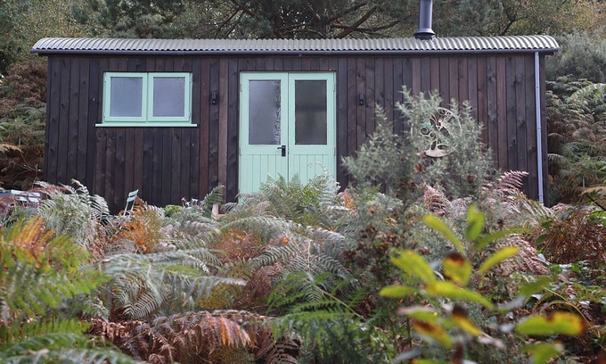 West Buckland Cabina | Relax & Recharge: Woodland Hideaway Shepherds Hut and Hot tub !