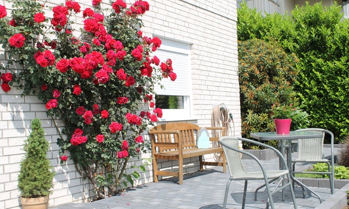 Roesrath Apartamento | Relajación cerca de Colonia en plena naturaleza.