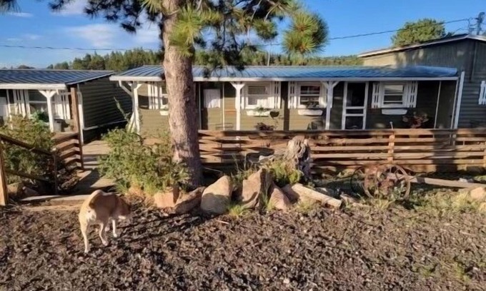 Red Feather Lakes Cabina | Relaxing Cabin in the heart of Red Feather Lakes!!