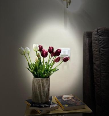 Frosinone Apartamento | Relaxing charm alla Radeca