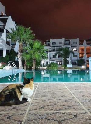 Cabo Negro Apartamento | Remanso de Paz Cabonegro