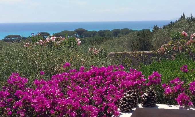 Hameau de Palombaggia Casa | Renovated beach housePalombaggia on foot180° sea view-protected site