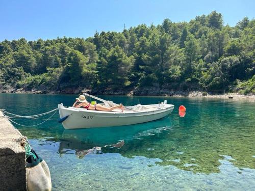 Rava Villa | Renovated stone villa on the island Rava, Zadar