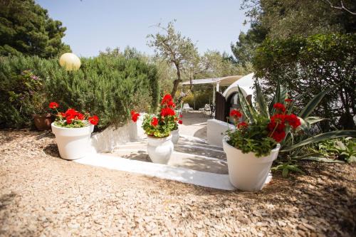 Scopello Apartamento | Residence Guidaloca