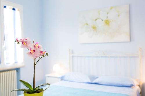 Miramare Apartamento | Residence Kimba