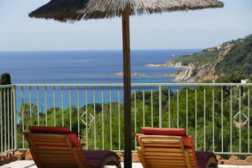 Cargese Apartamento | Residenza l 'Alivetu