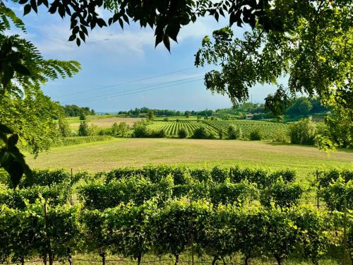 Pozzolengo Casa | Residenza Le Vigne