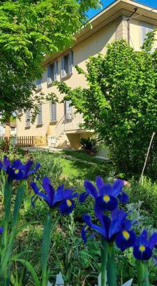 Mornico Losana Apartamento | Residenza Rosmarino CASA GUARNONE