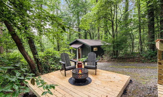Saluda Cabaña | Resilience Road Cottage: Walk to Downtown Saluda, Close to Hiking & Activities!