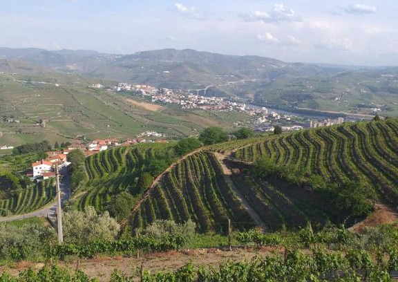 Peso da Regua Casa | Retiro da Quinta do Souto