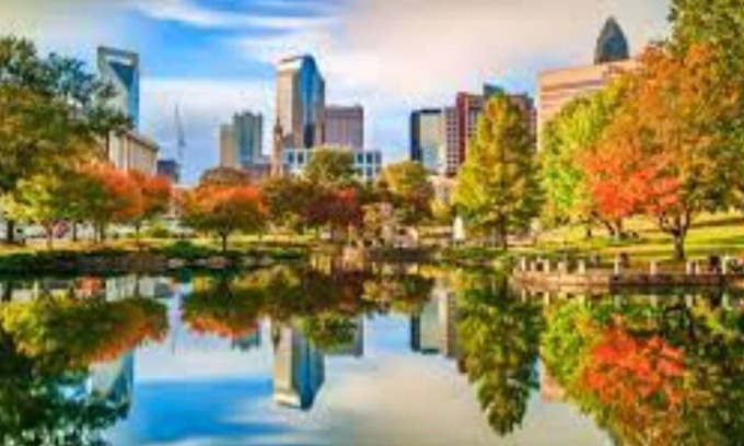 NoDa Casa | Retreat in ❤️ of Arts District at NODA short walk to LYNX Blue Line @ 36th St.