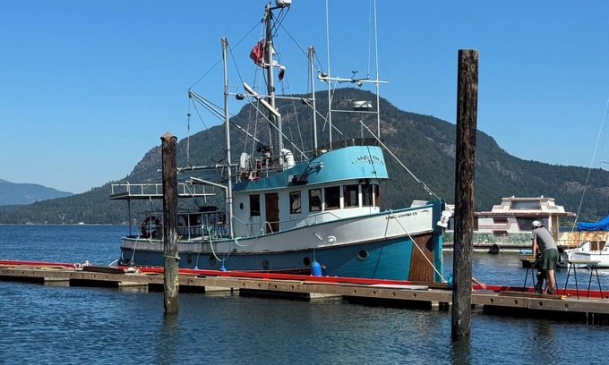 Cowichan Bay Alquiler De Eote | Retro Boat in Quiet Marina, Whale Watching, Sea Otters and Lions, Crab Fishing