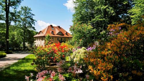 Ladek-Zdroj Apartamento | Rezydencja Grawert Boutique & Spa