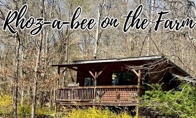 Wildwood Cabina | Rhoz-A-Bee's on The Farm