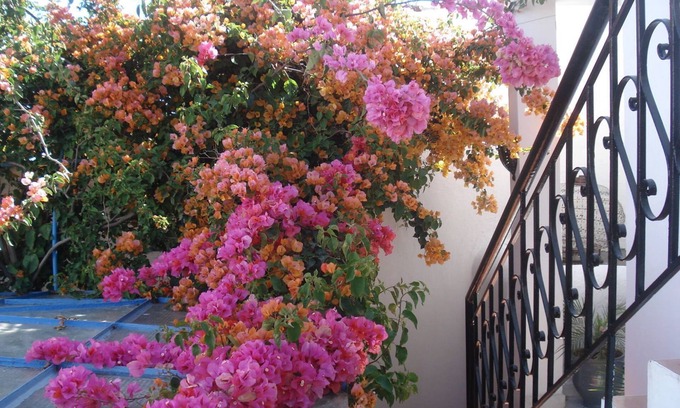 Sale Medina Casa | Riad Marlinea