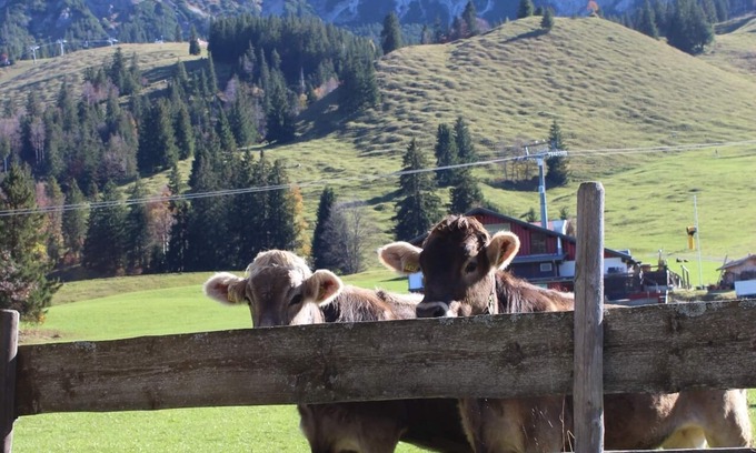 Oberjoch Apartamento | Right on the mountain in summer! Ski in, ski out in winter! 1min walk to the chairlift!