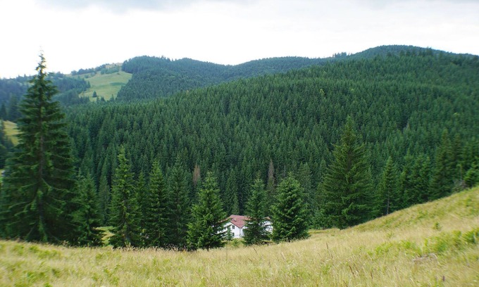 Vatra Moldovitei Casa | Rija Land, un refugio rural en las montañas de Bucovina