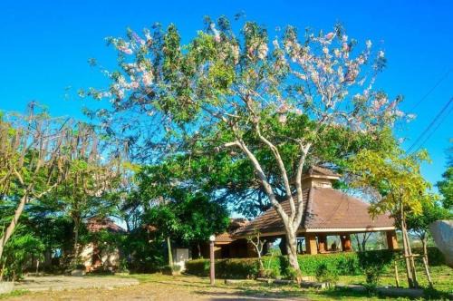 Sattahip Hotel | Rimpuhill resort