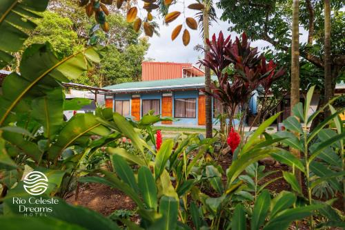 Bijagua Apartamento | Rio Celeste Dreams
