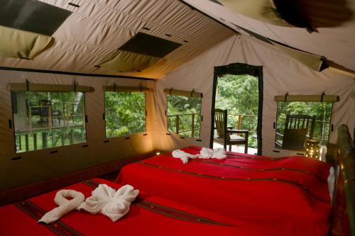 Punta Mala Cabina | Rio Tico Safari Lodge