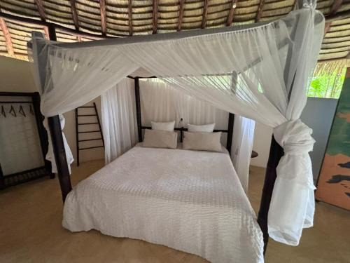 Savegre Apartamento | Rising Resort