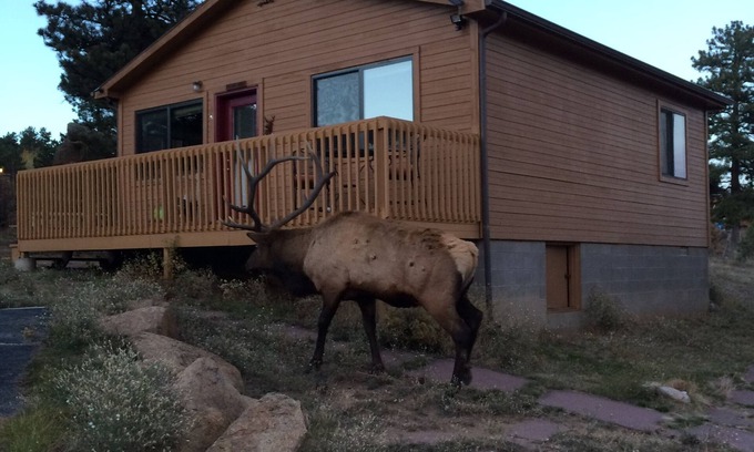 Estes Park Cabina | River Cabin: cerca del centro de la ciudad, YMCA y R. M.N. pag.