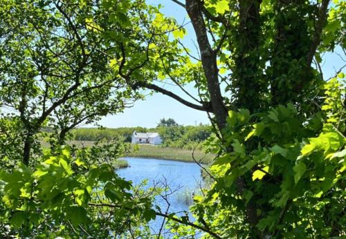 Ballinaboy Casa | River Cottage, Clifden