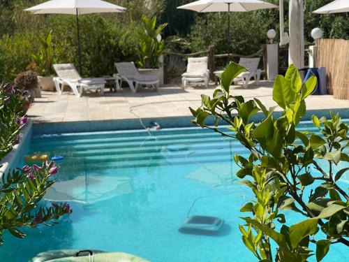 Coin Otro | River Heart Lodges