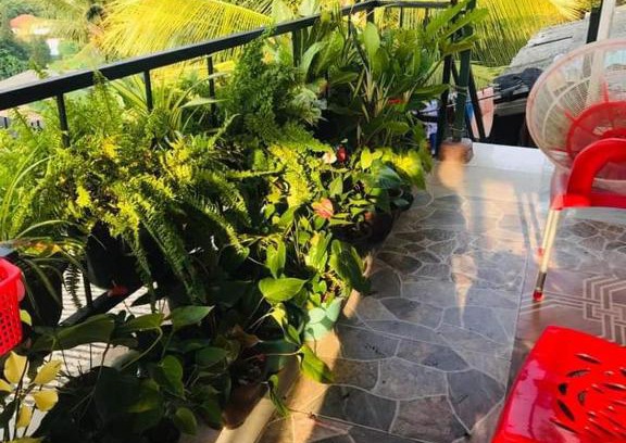 Peradeniya Casa | River Mount View Hotel