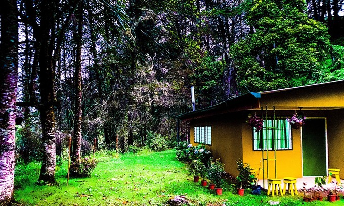 San Gerardo de Dota Casa | River Nest Lodge Costa Rica