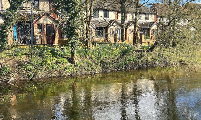 Fakenham Cabaña | River Rose – Family Cottage by the river
