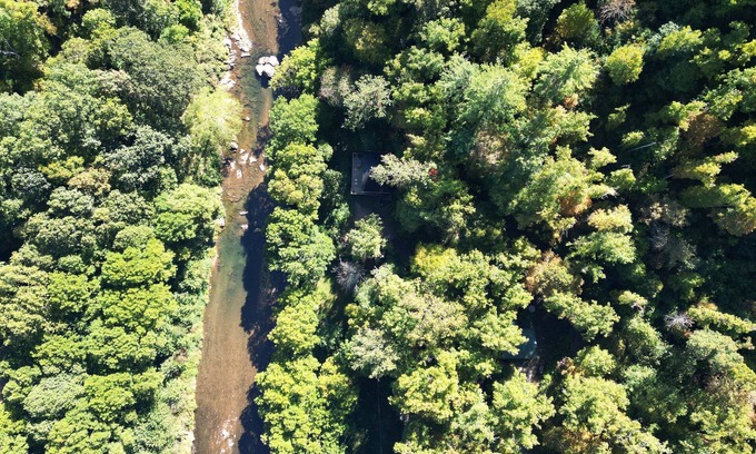 Burnsville Cabina | Riverfront in Burnsville near Asheville, Mt Mitchell, swim, fish, hike, ski