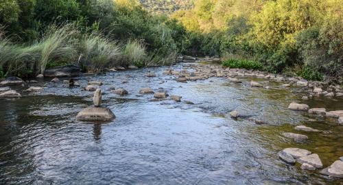 Ramotshere Moiloa Apartamento | RiverStill Guest Farm