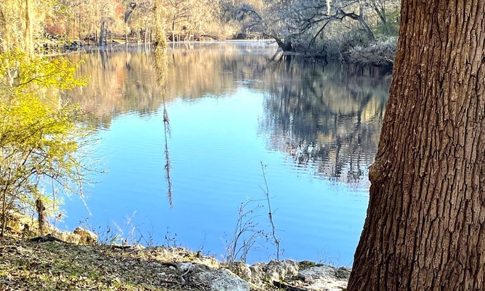 Branford Casa | Riverview , Beautiful house on the Santa Fe river!