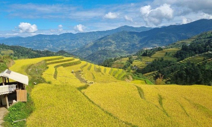Ta Su Choong Cabina | Riz d'Or Ermitage - Hoang Su Phi