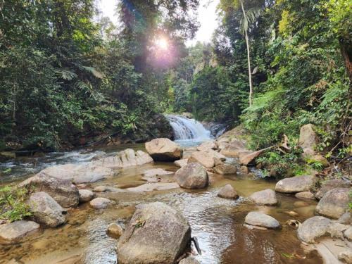Bentong Complejo | Rock Forest Chalet