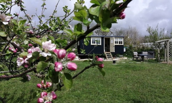 Bude Cabina | Romantic Apple Tree Shepherd's Hut with optional hot tub and shared EV charger.