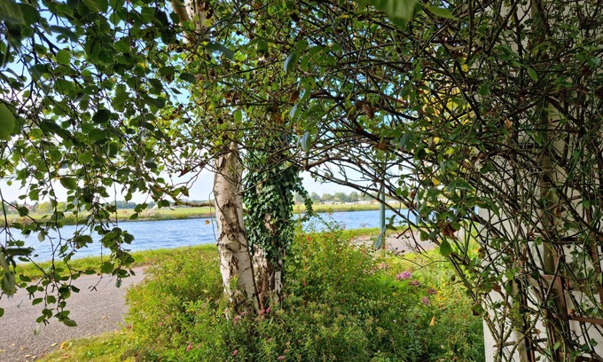 Municipality of Leidschendam-Voorburg Apartamento | Romantic Attic on the Waterfront