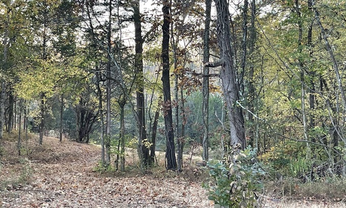 Lebanon Casa | Romantic Farm with Beautiful Views Close to Nashville in Lebanon Tennessee