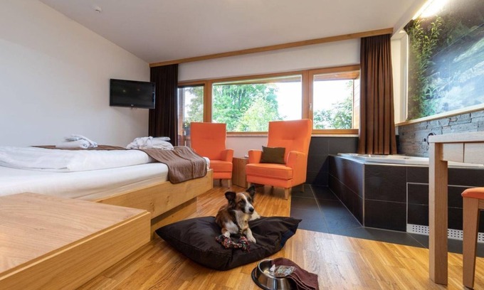 Ramsau am Dachstein Casa | Romantic room "Wasser" Shortstay, with shower, WC - Almfrieden Hotel &