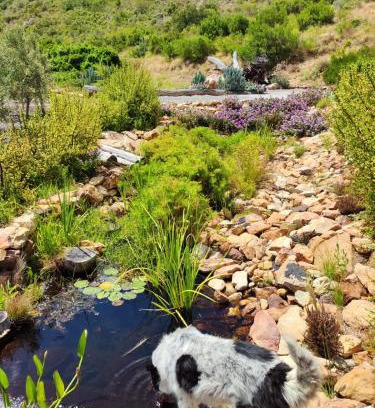 Montagu Apartamento | Roodekloof